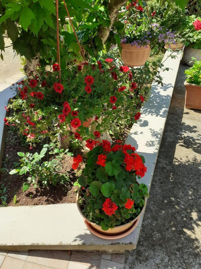Apartman Danijela Zagorje Екстериор снимка