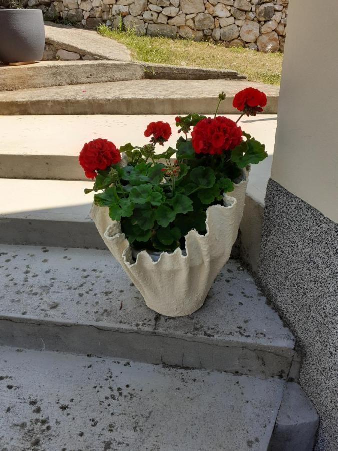 Apartman Danijela Zagorje Екстериор снимка