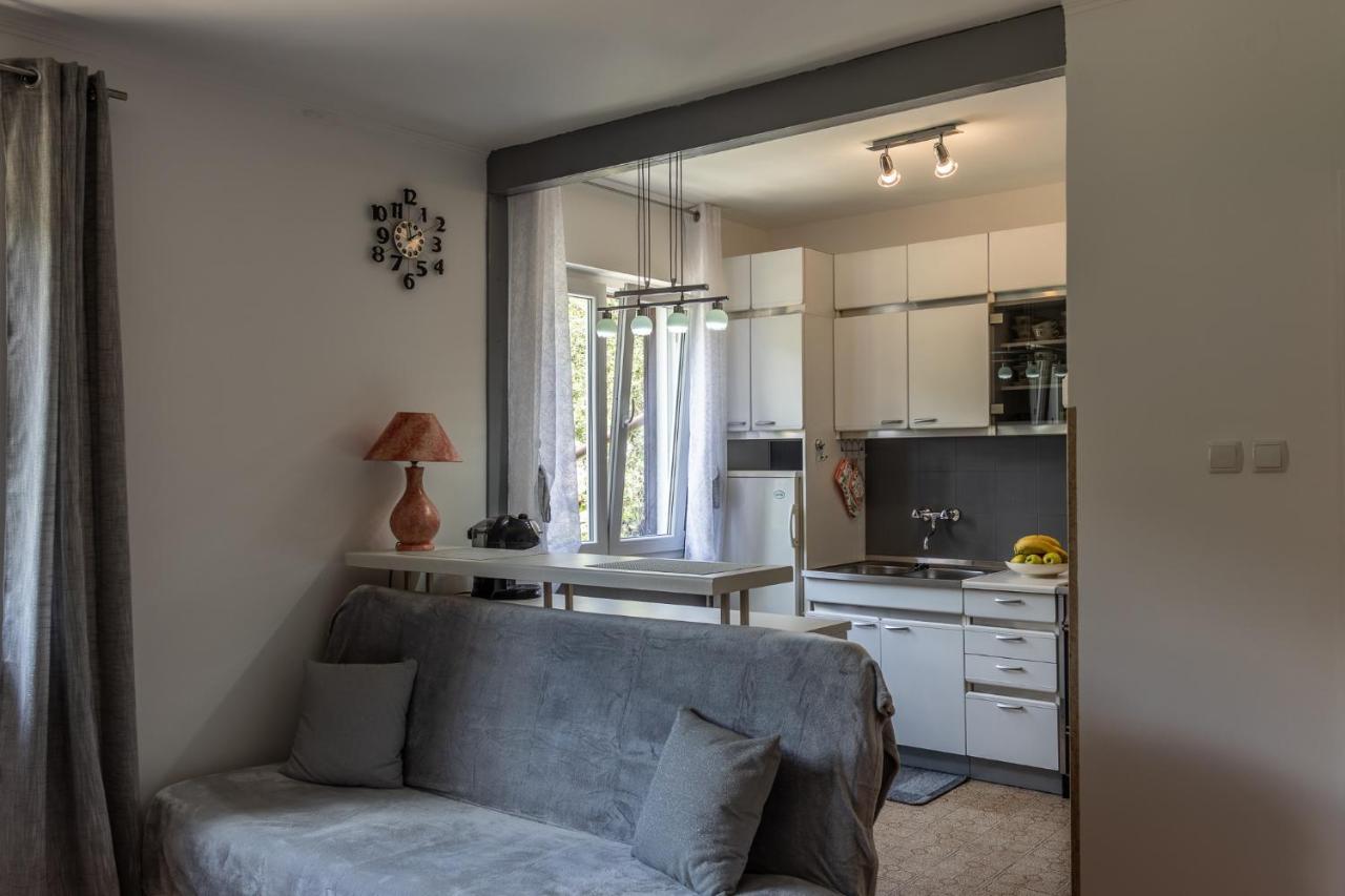 Apartman Danijela Zagorje Екстериор снимка