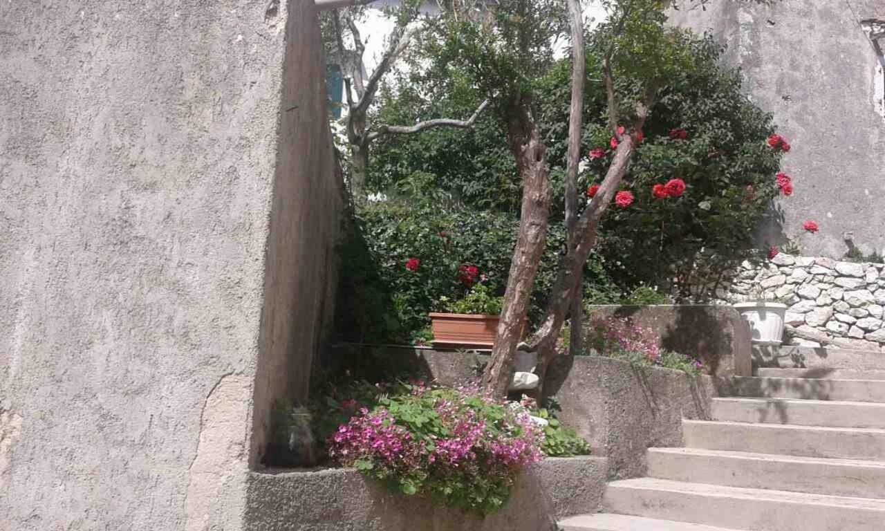 Apartman Danijela Zagorje Екстериор снимка