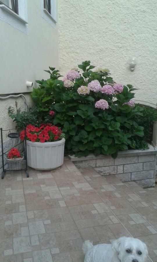 Apartman Danijela Zagorje Екстериор снимка